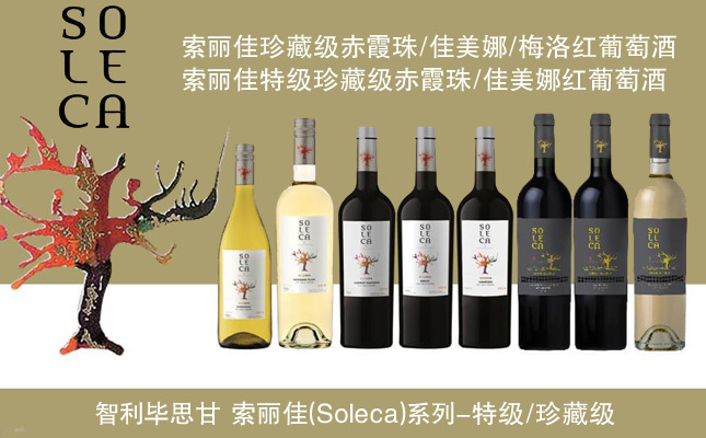 索麗佳珍藏赤霞珠紅葡萄酒